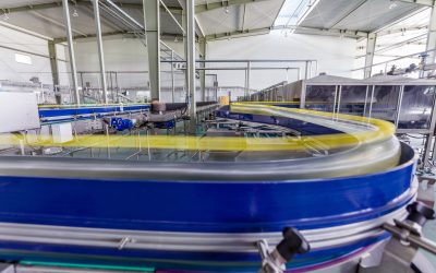 The Role of Stainless Conveyor Rollers in Boosting Industrial Productivity